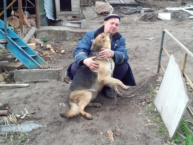 ���� 14860506 ������� ������, 60 ���, ���� ���������� � ������