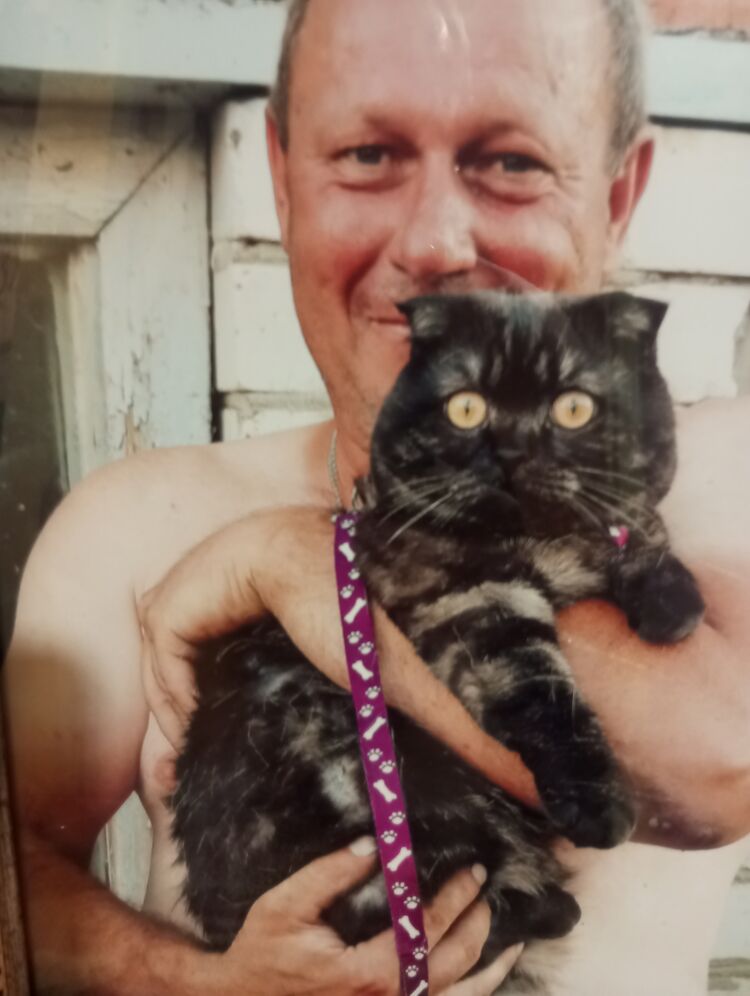 ���� 55058746 ������� ����, 52 ����, ���� ���������� � �������