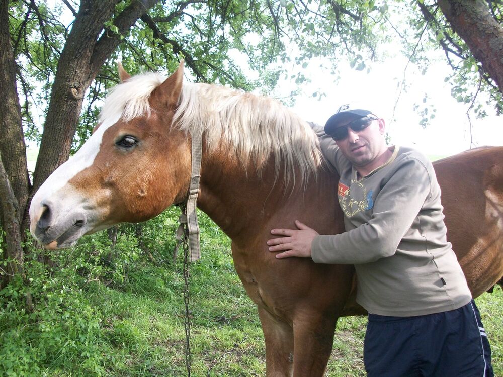 ���������� �����, ���� ������� ������, 45 ���, ������������ ��� ������