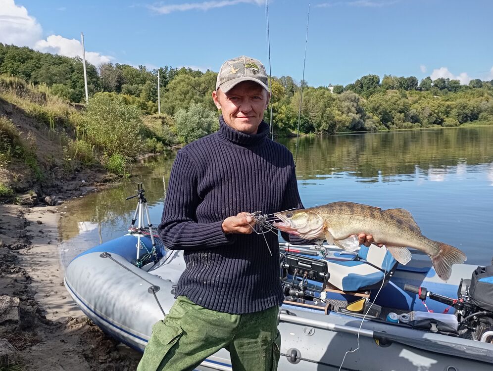 ���� 55573816 ������� �����, 48 ���, ���� ���������� � ��������