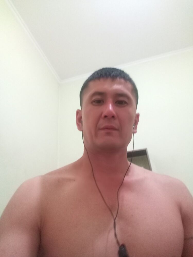  12337096  , 41 ,    