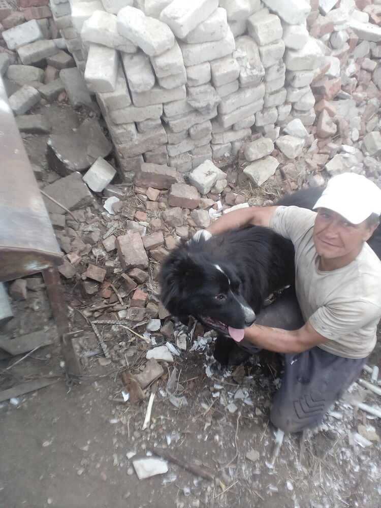 ���������� �������, ���� ������� ����, 48 ���, ������������ ��� ����� � ���������, c�������� ���������