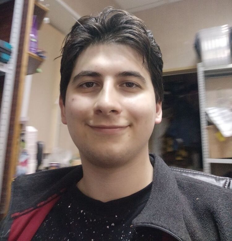 ���������� ��������, ���� ����� ���, 25 ���, ������������ ��� ������, ����� � ���������