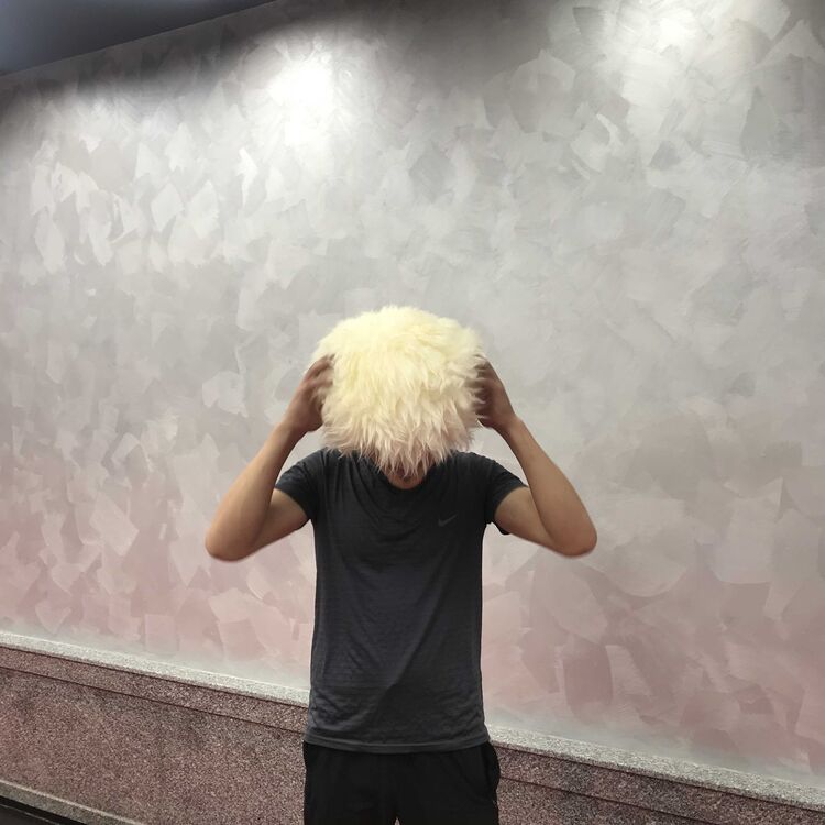 ���� 27322776 ������� Zikko, 34 ����, ���� ���������� � ��������