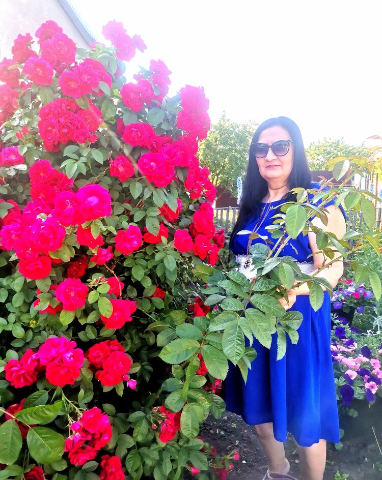 ���������� �������, ���� ������� ���, 65 ���, ������������ ��� c�������� ���������