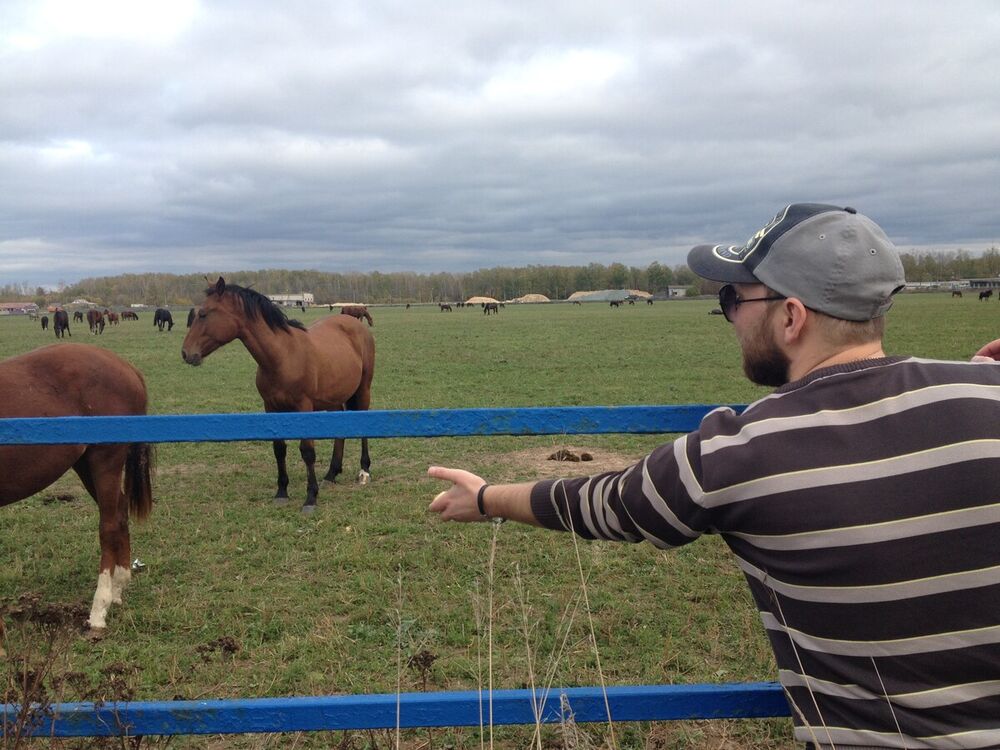 ���������� �����, ���� ������� Shining, 43 ����, ������������ ��� ������, ����� � ���������, c�������� ���������