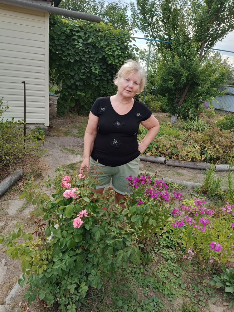  54265846  , 58 ,    -