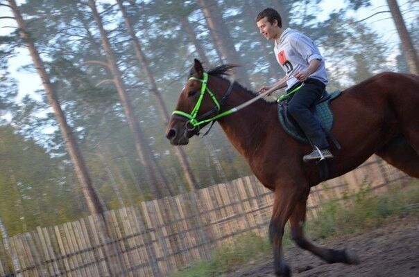 ���������� ������, ���� ������� ������, 28 ���, ������������ ��� ������, ����� � ���������, c�������� ���������