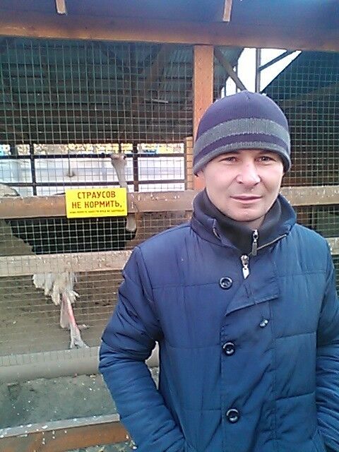 ���� 5330566 ������� ������, 45 ���, ���� ���������� � ��������