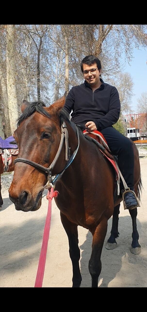 ���� 56150946 ������� Yilmaz, 27 ���, ���� ���������� � ���������