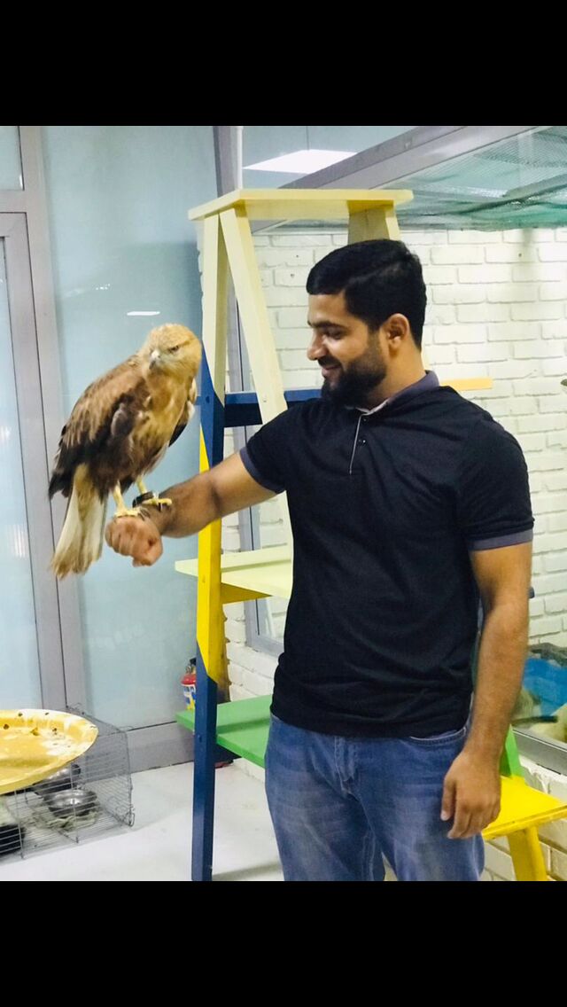 ���� 26017116 ������� ������, 34 ����, ���� ���������� � ������