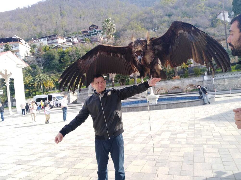 ���� 27137706 ������� �������, 53 ����, ���� ���������� � ������������