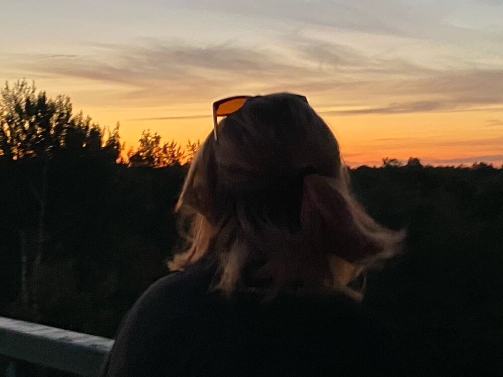  31831816  , 26 ,    -