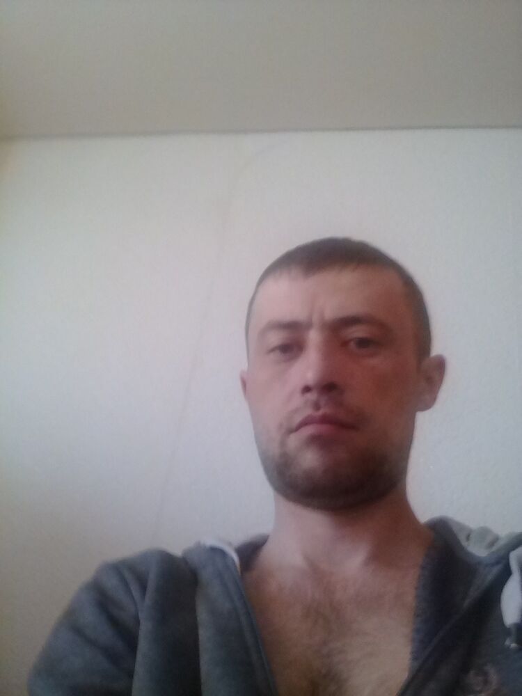  15742146  , 41 ,    
