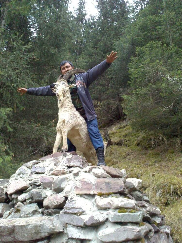  20458476  Ramis, 39 ,    