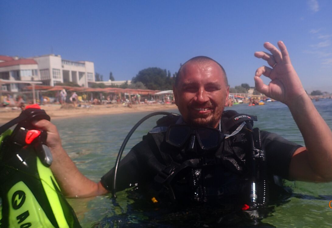  54180276  , 41 ,    -