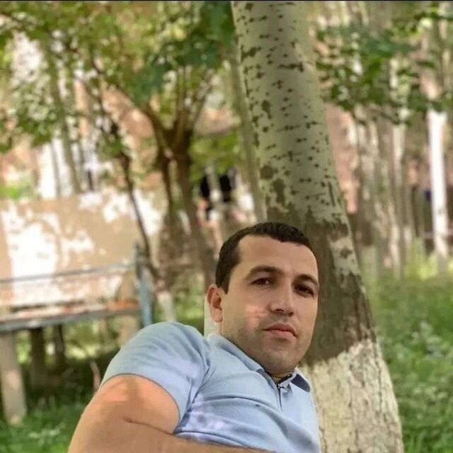  52480136  Graf, 33 ,    