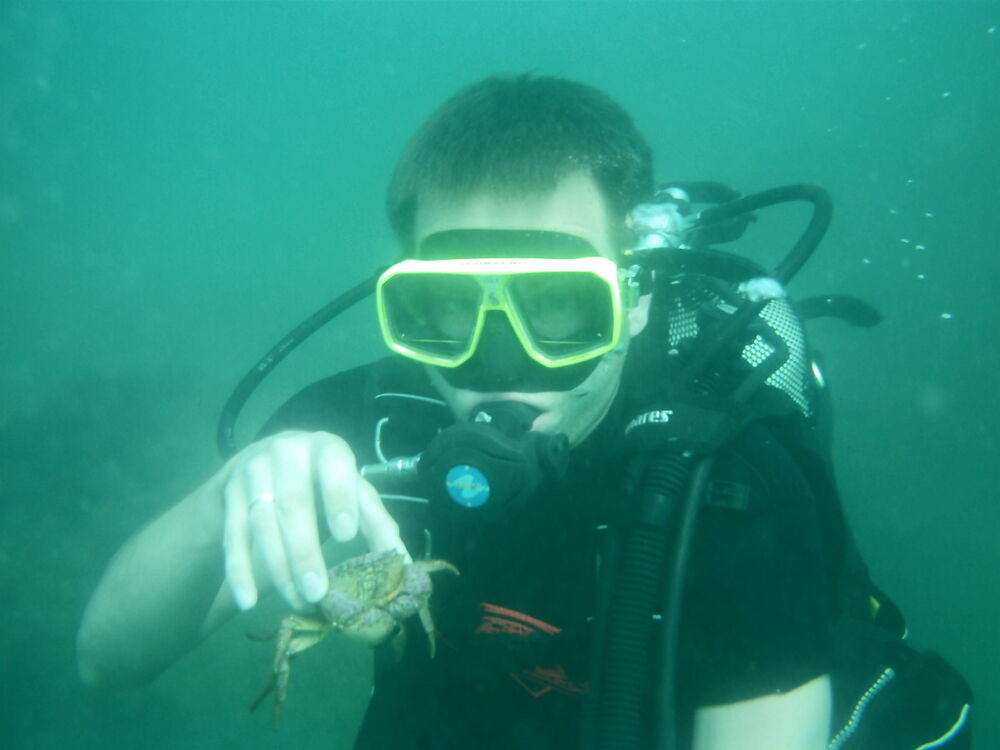 ���������� ������, ���� ������� ����, 40 ���, ������������ ��� ������