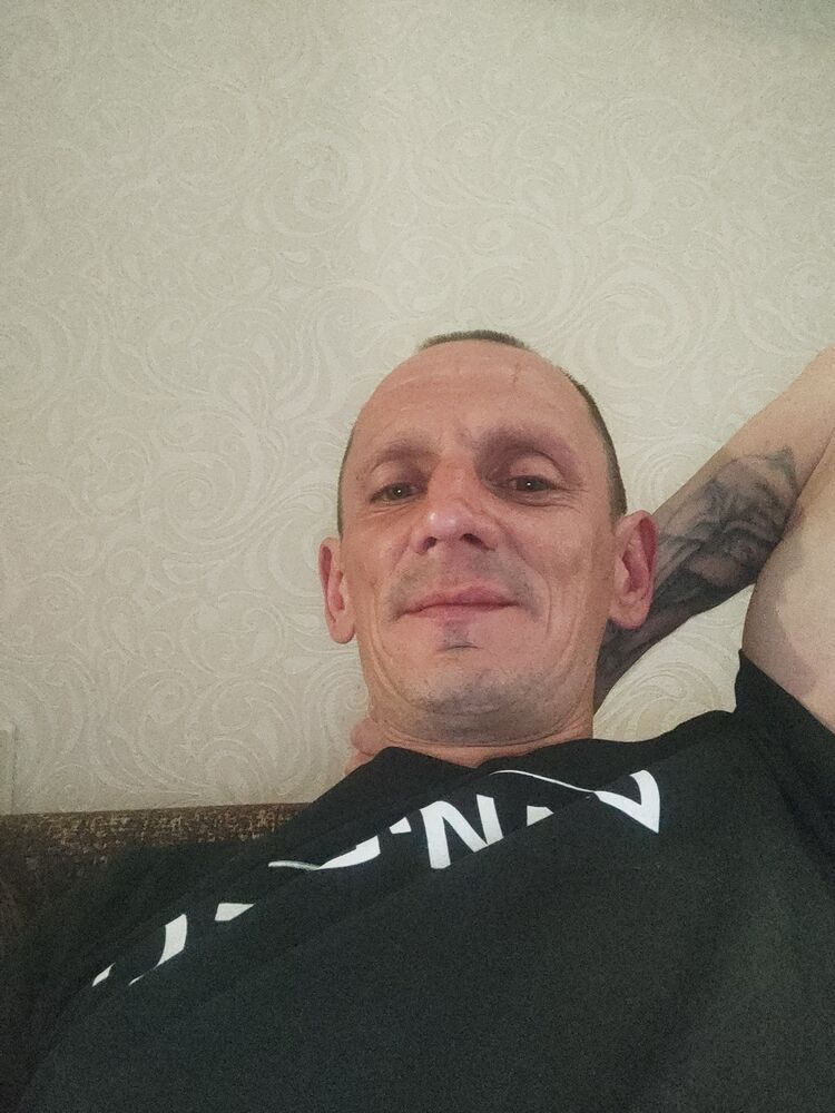  43141036  , 40 ,    