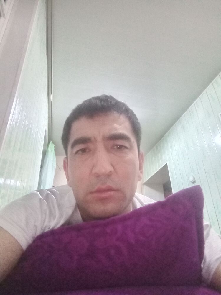  49937536  , 38 ,    