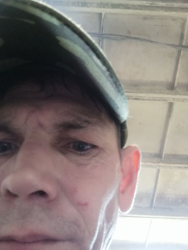  45379176  , 43 ,    