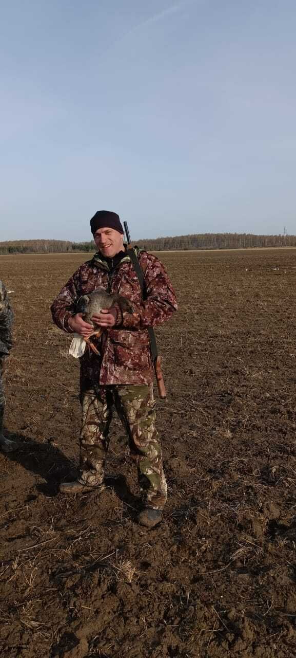 ���� 43136656 ������� ������, 38 ���, ���� ���������� � ������