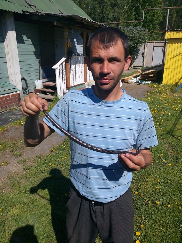 ���������� ������������, ���� ������� ��������, 38 ���, ������������ ��� ������, ����� � ���������, c�������� ���������