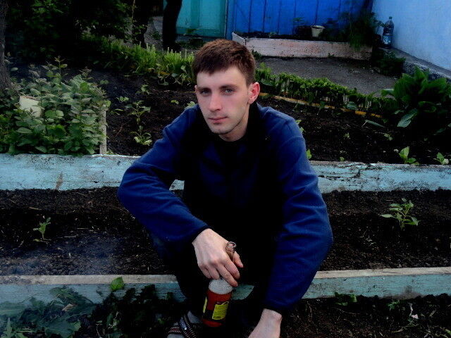  ,   Graff, 33 ,   