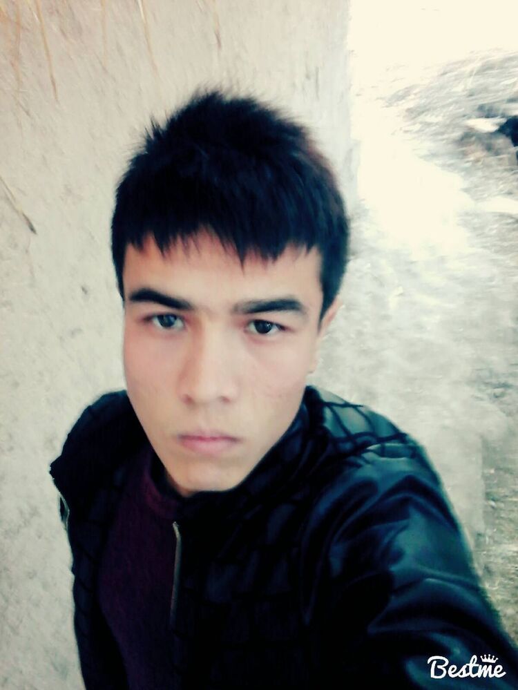  -,   Wolf, 25 ,   ,   , c , 