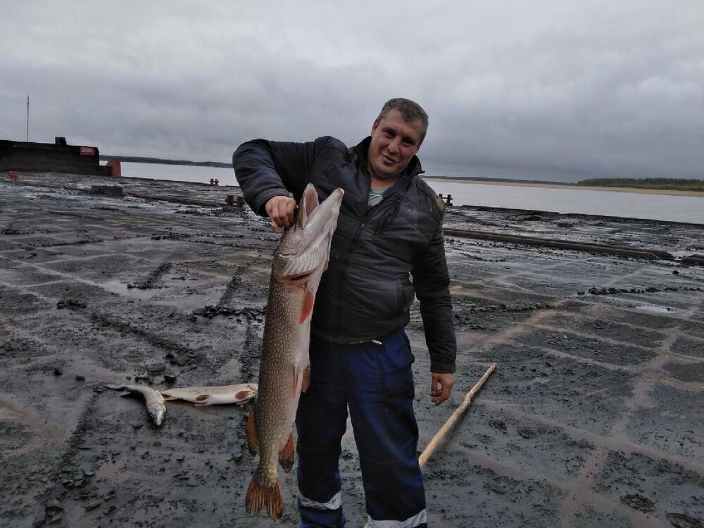  ,   , 44 ,   c 