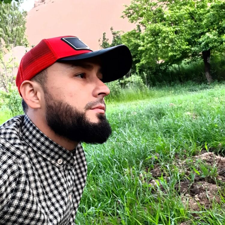  53828026  , 34 ,    --