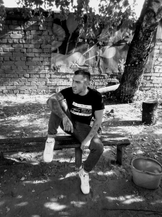 ���� 31221676 ������� ������, 33 ����, ���� ���������� � ������