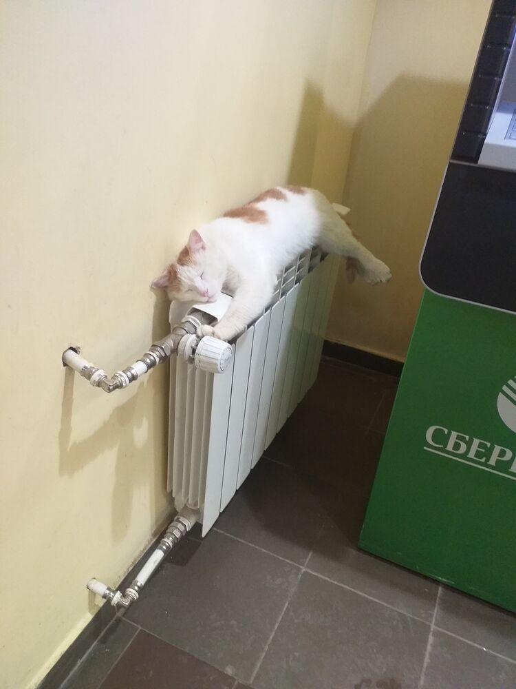 ���� 30322946 ������� Sergey, 33 ����, ���� ���������� � ����������