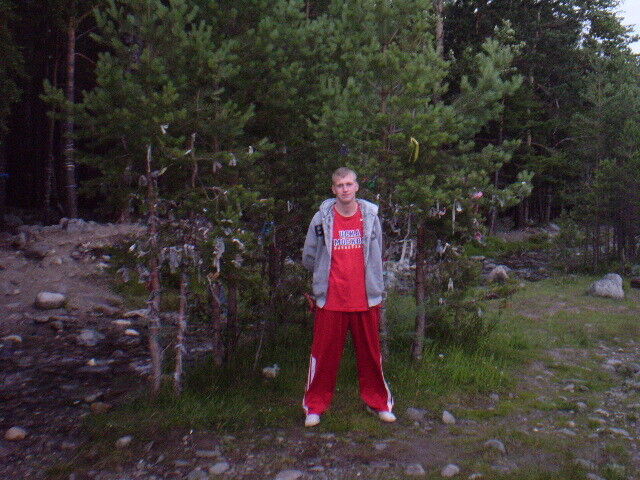  7898186  , 37 ,    -