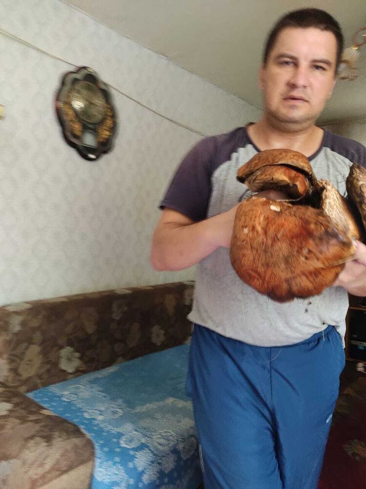 ���� 31485596 ������� ������, 40 ���, ���� ���������� � ���������