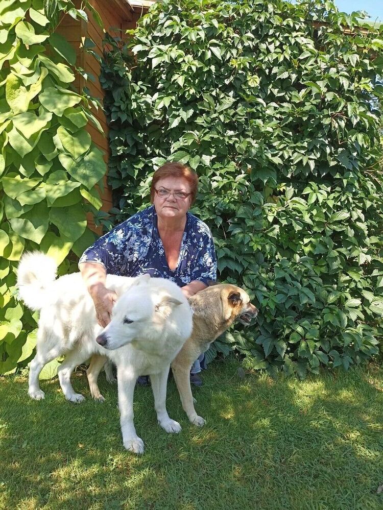 ���� 53242046 ������� �����, 62 ����, ���� ���������� � ���������