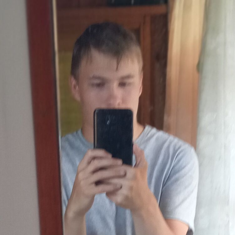 29685936  , 23 ,    