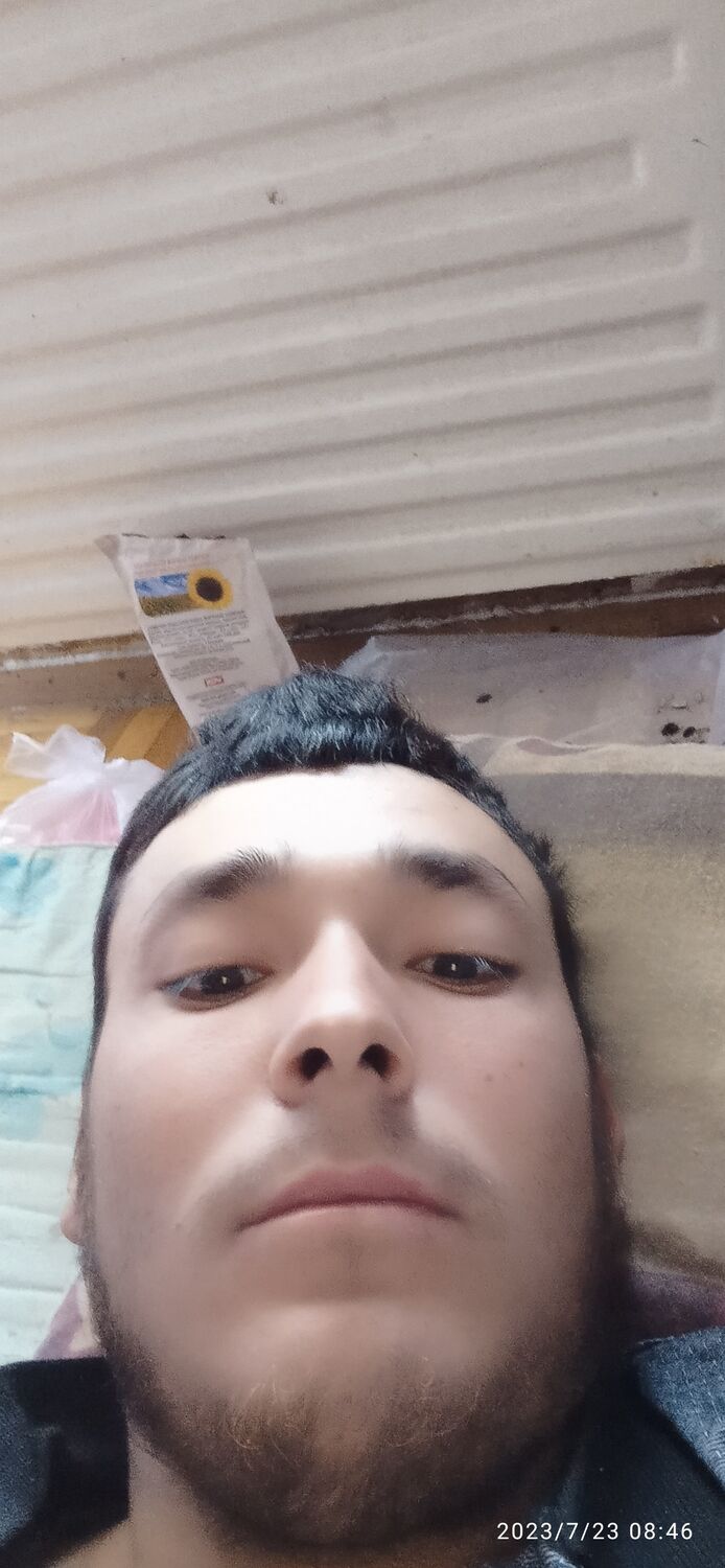 ���� 36240456 ������� �����, 28 ���, ���� ���������� � �������