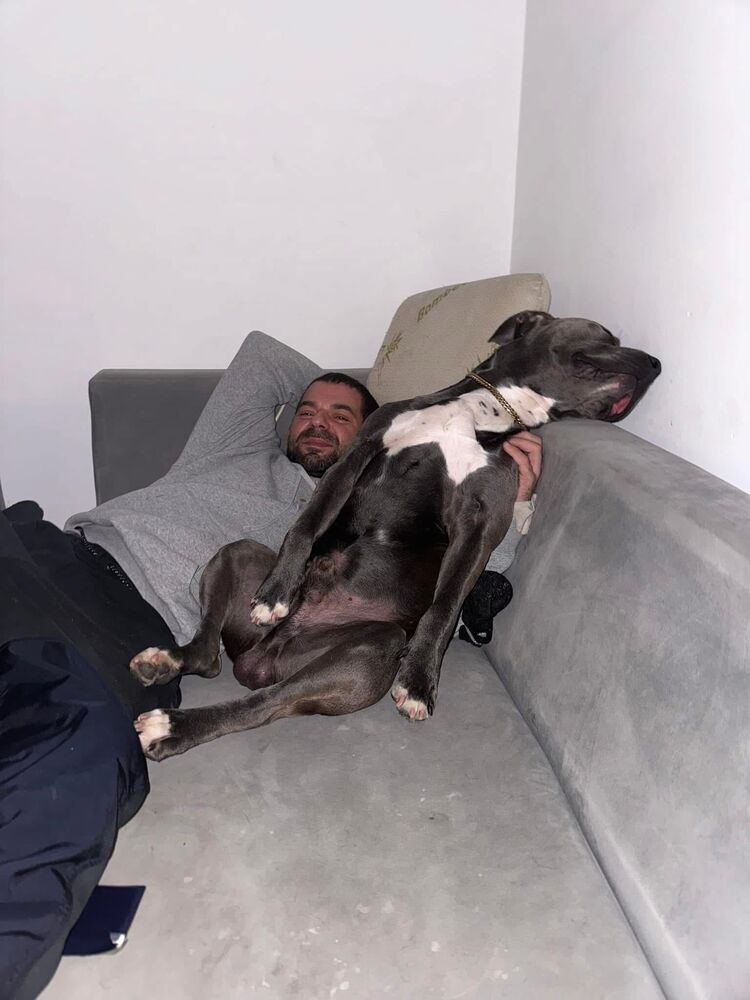  ,   Mike, 36 ,   ,   