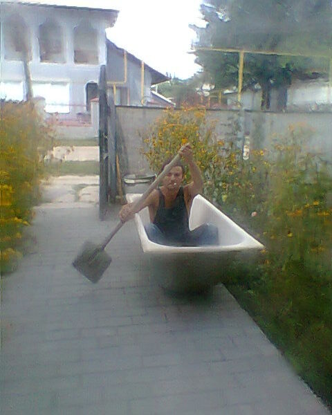  ,   Vvv81, 44 ,  