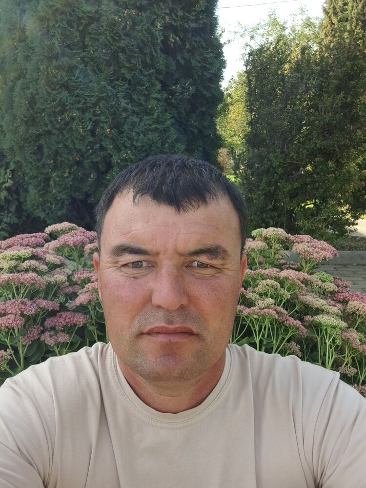  50697426  , 41 ,    