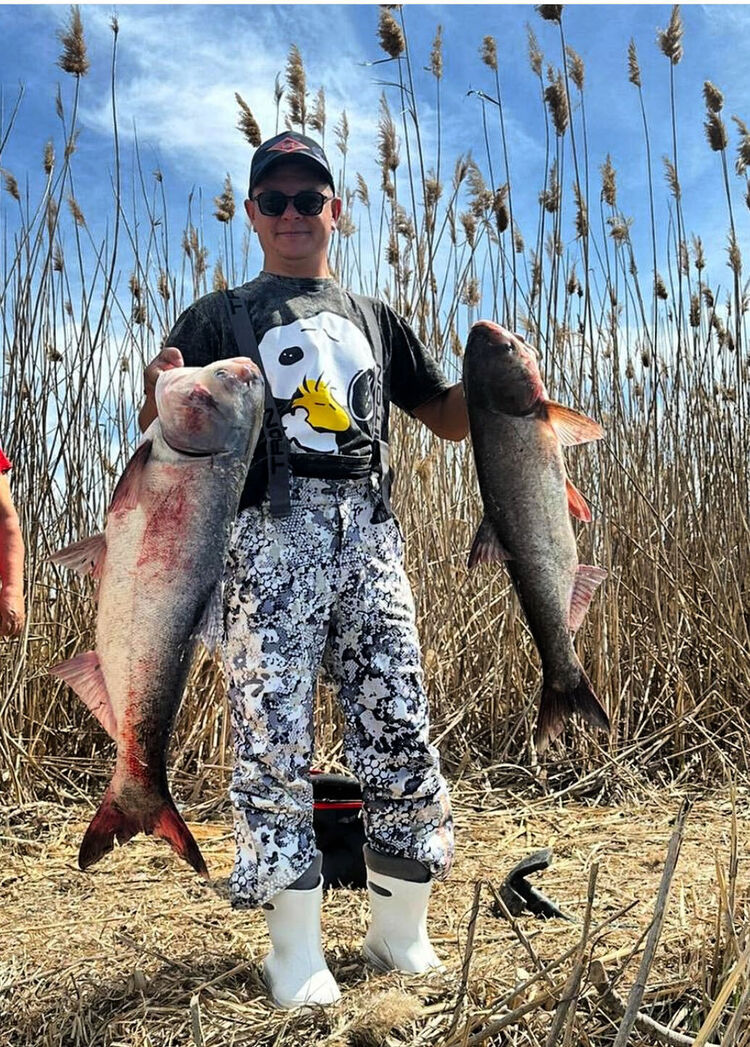 ���������� ������, ���� ������� CanisMajoris, 40 ���, ������������ ��� ������, ����� � ���������, c�������� ���������, ���������