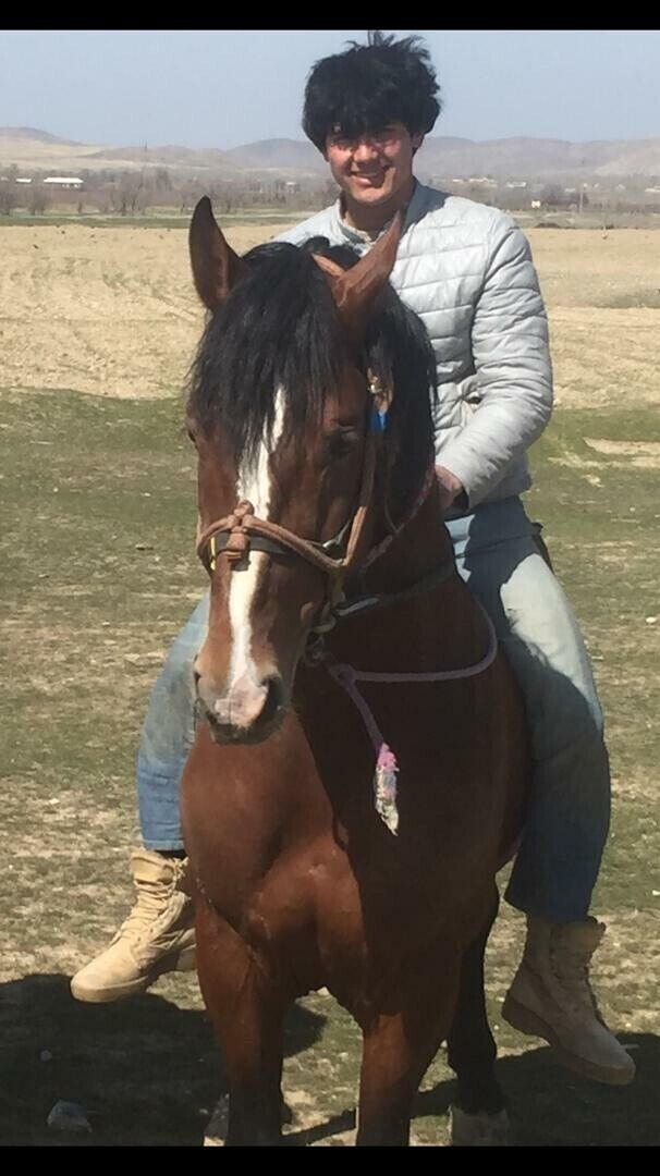 ���� 31789746 ������� ��������, 26 ���, ���� ���������� � ������