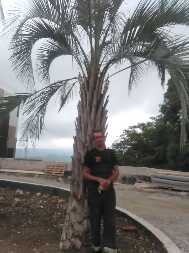  ,   , 54 ,   