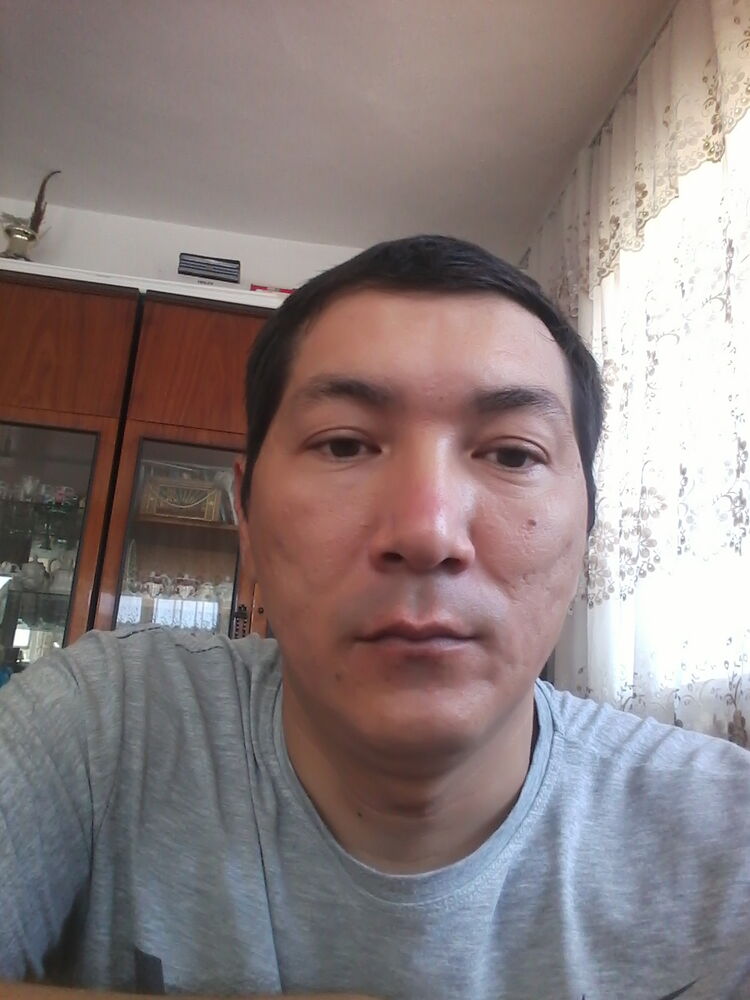  23480356  , 38 ,    