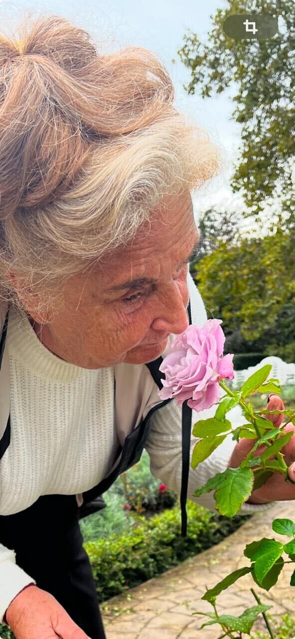 ���������� ������, ���� ������� ���������, 75 ���, ������������ ��� c�������� ���������, ���������