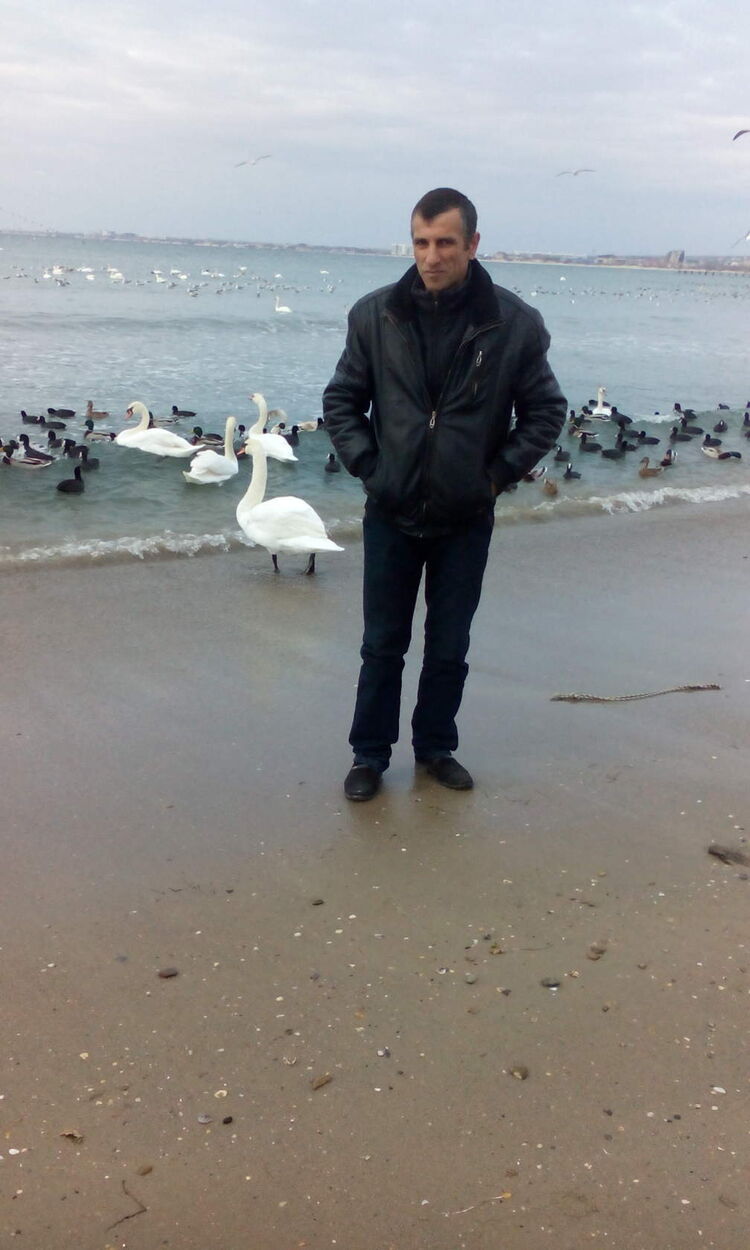 ���� 25134246 ������� ���, 52 ����, ���� ���������� � �����