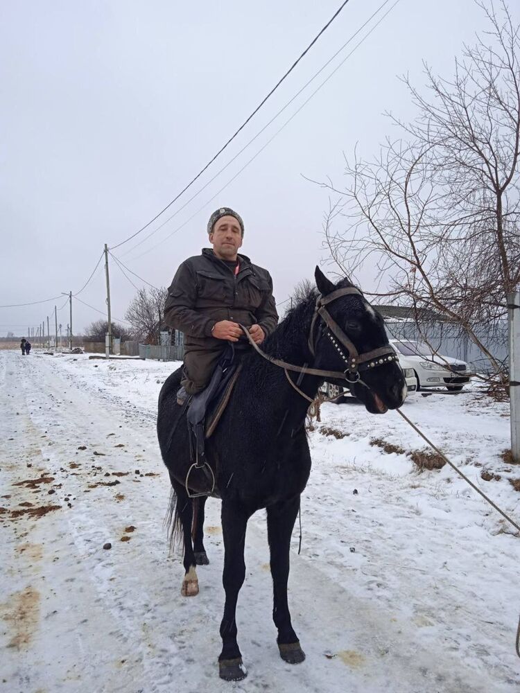 ���� 55085246 ������� ��������, 51 ���, ���� ���������� � ������