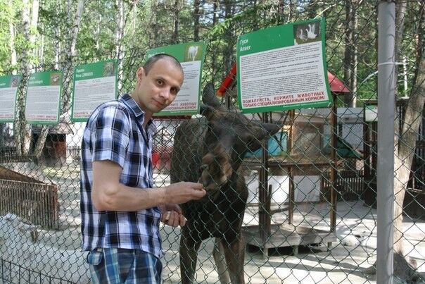 ���������� ������������, ���� ������� �������, 44 ����, ������������ ��� ������, ����� � ���������, c�������� ���������