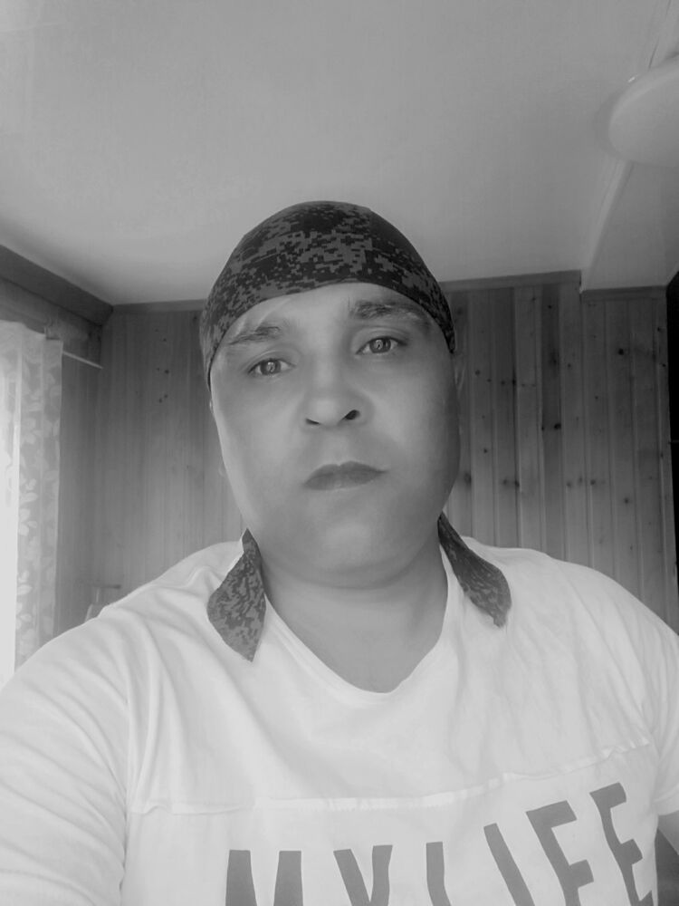 ���� 35228606 ������� Bert, 40 ���, ���� ���������� � �������������